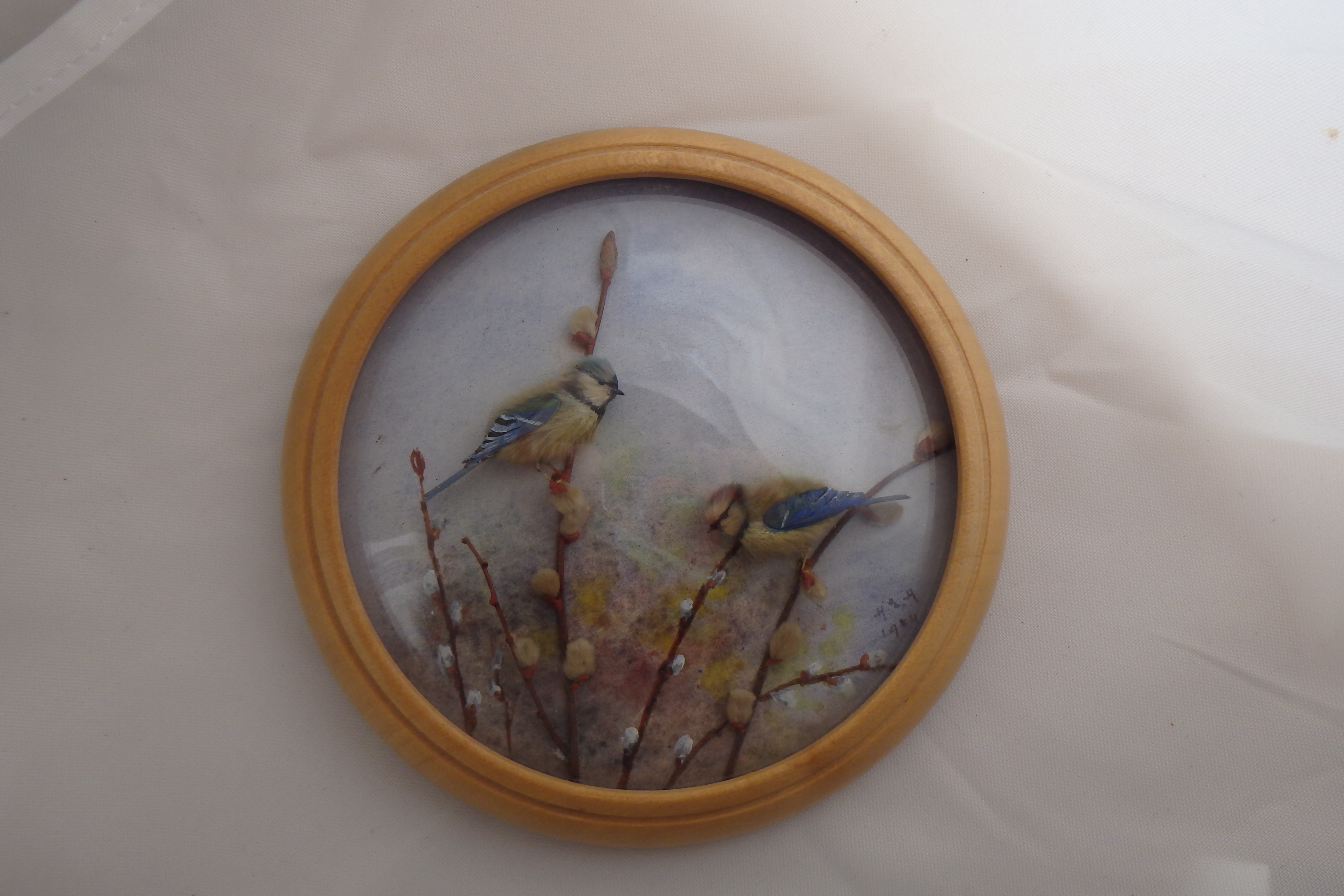 Great Tit and Blue Tit (5-inch)